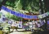 CareFlag at Park.jpg (117kb)
